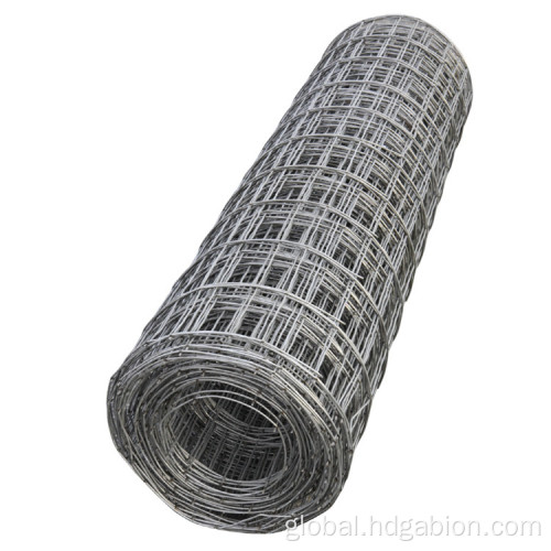 Welded Wire Mesh Galvanized widely used in agriculture Welded wire mesh Manufactory